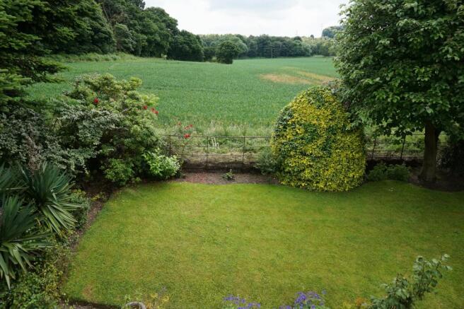 View from the bedroom
