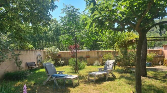 jardin 1