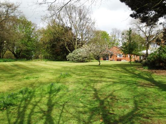 Lawns