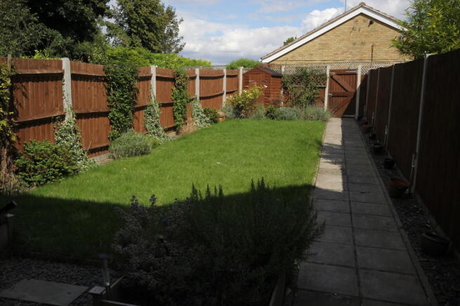 Photo 5