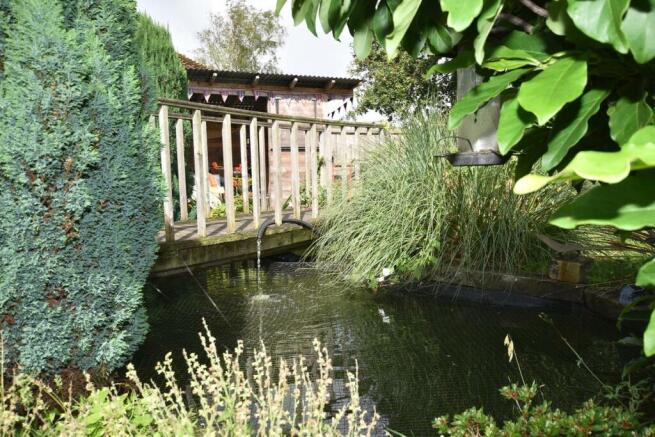 Garden pond.JPG