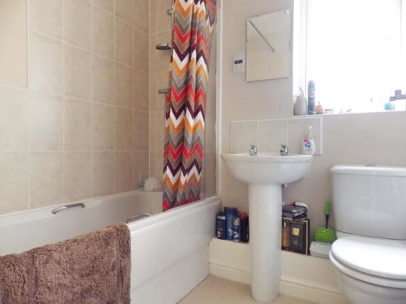 Picture 11