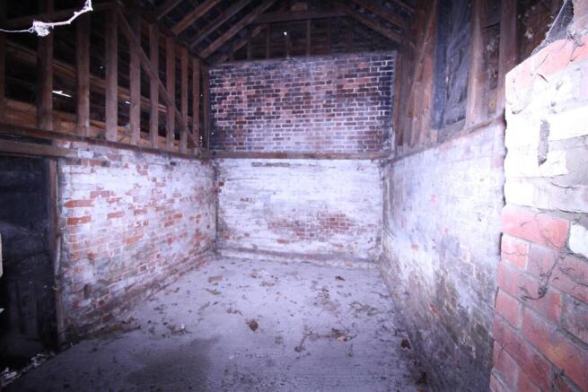 IMG_4902.JPG