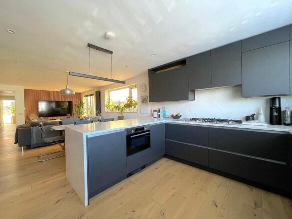 Living Room/Dining Room/Kitchen (5)
