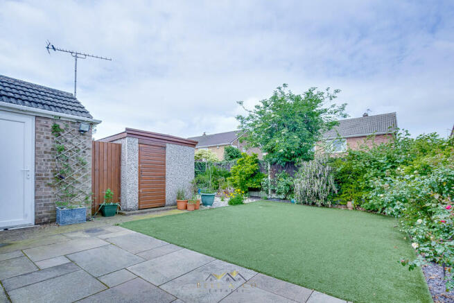 Back garden 1.1