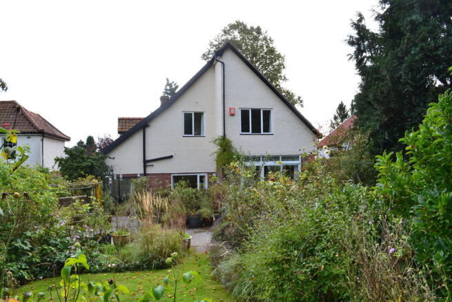 Photo 5