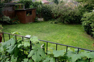 The Garden