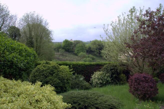 Garden and view