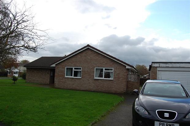 driveway & garage