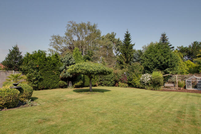 Photo 27