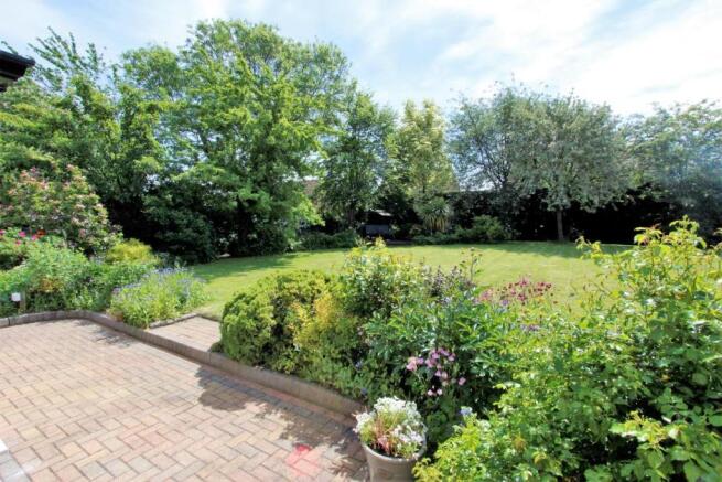 garden 1.JPG