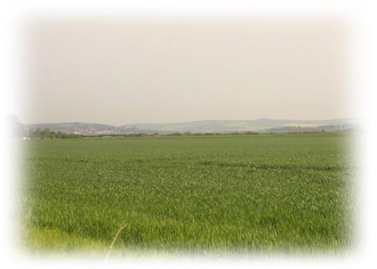 View to South Downs