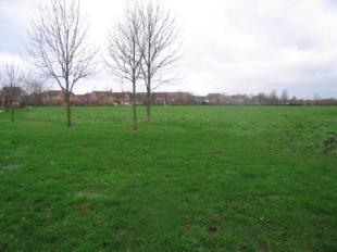 Nearby Medieval Land