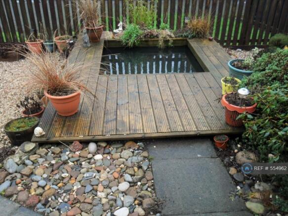 Pond