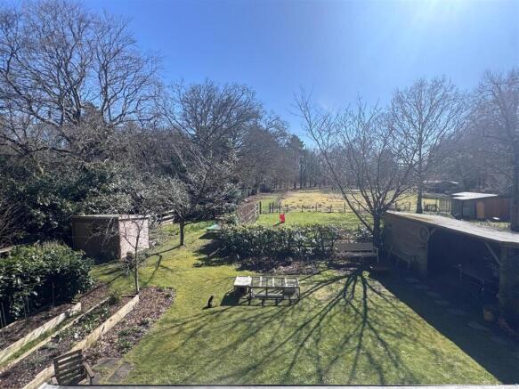 Grd elevated view 1.JPG