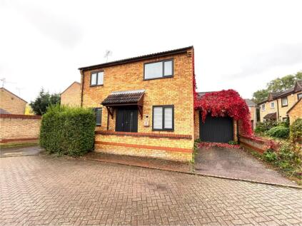 Linnet, Orton Wistow, Peterborough, PE2