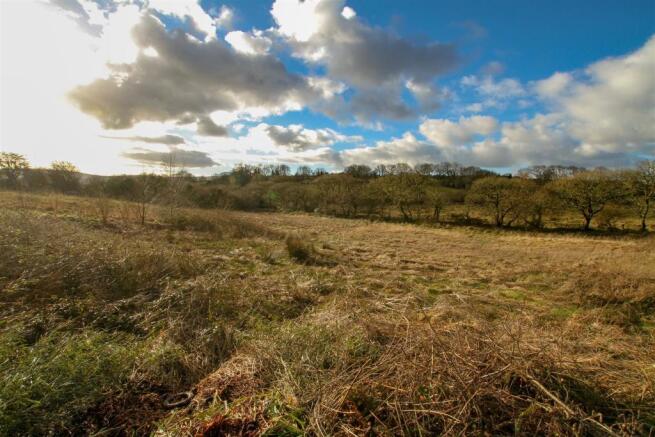 Land view.jpg
