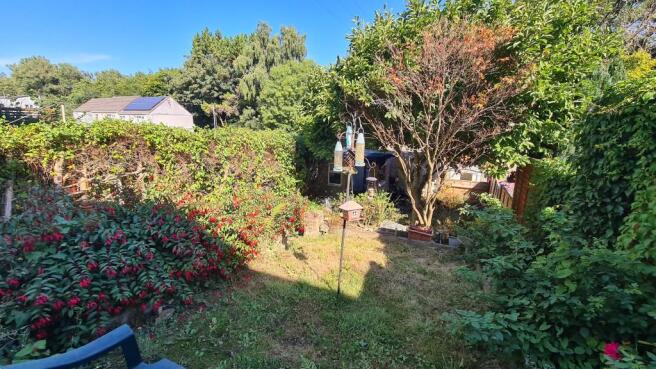 Rear garden