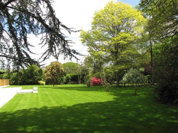 r garden.JPG