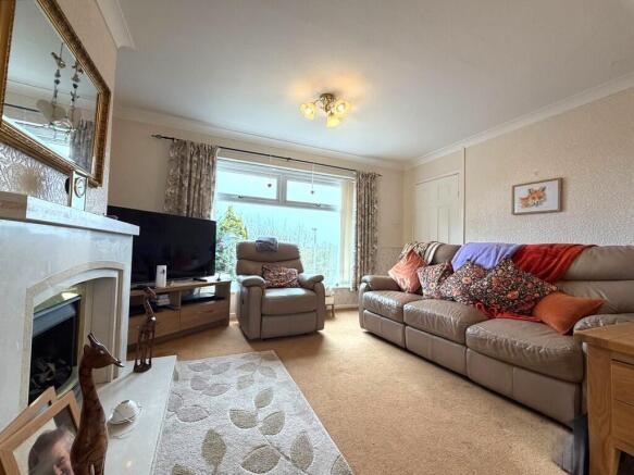 processed-7393037...