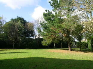 communal Grounds