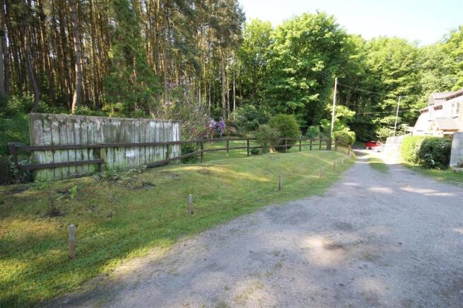 IMG_7791.JPG