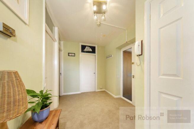 Picture 7