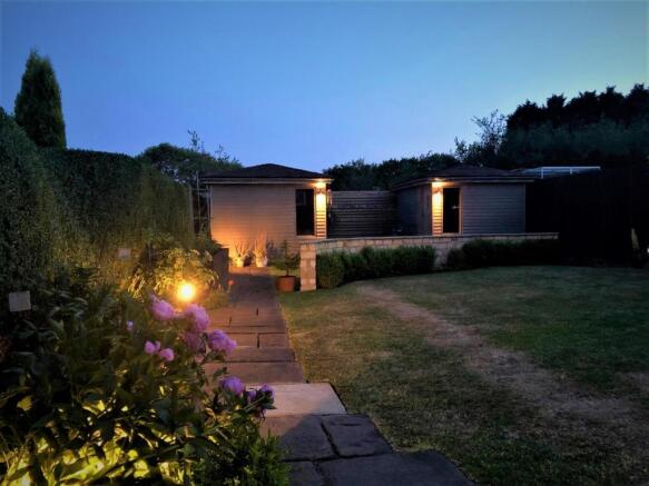 garden at night.jpg