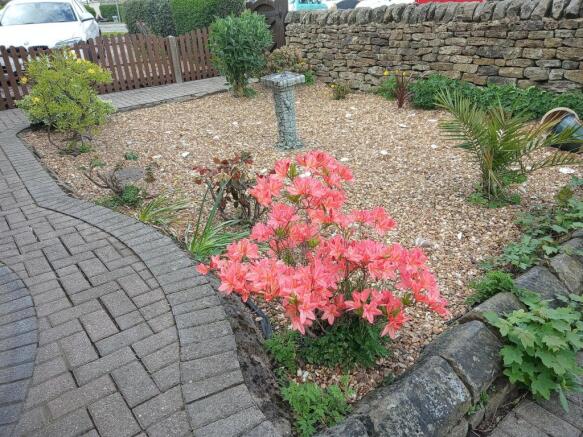 Photo 37