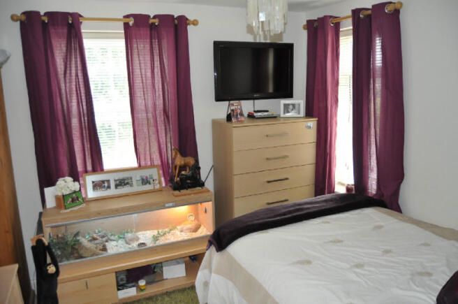 Picture 7
