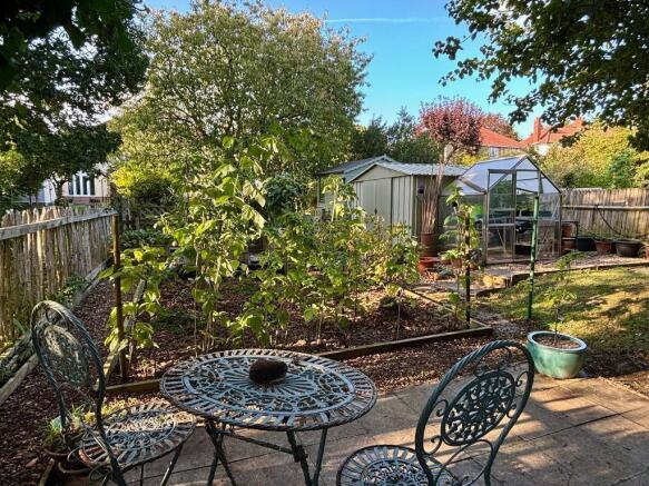 Vegetable Garden