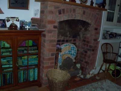 Photo 4