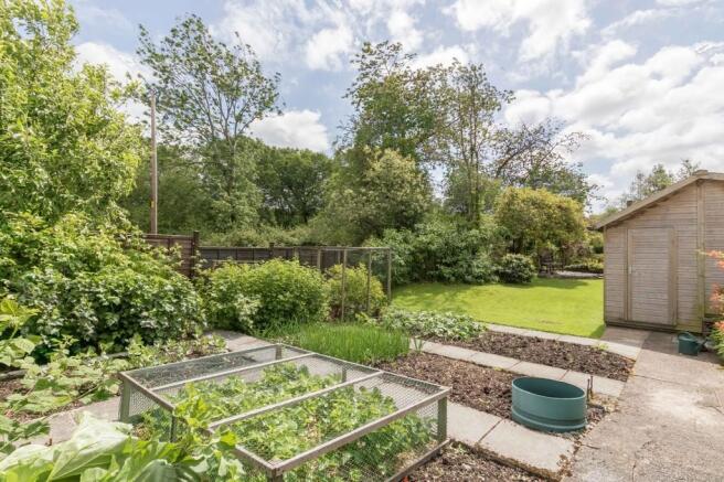 Vegetable patch