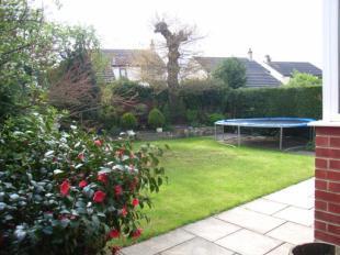 Back Garden
