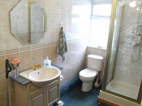 Ground Floor Shower