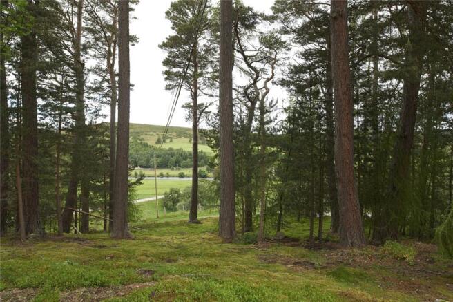 Grounds