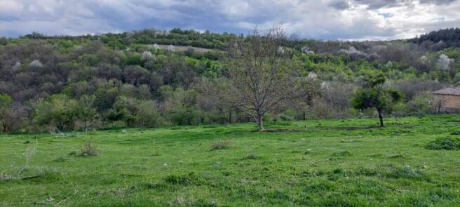 A green rural plot featuring scattered trees and forested hills in the background under a cloudy sky.