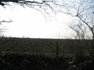 View Over Fields