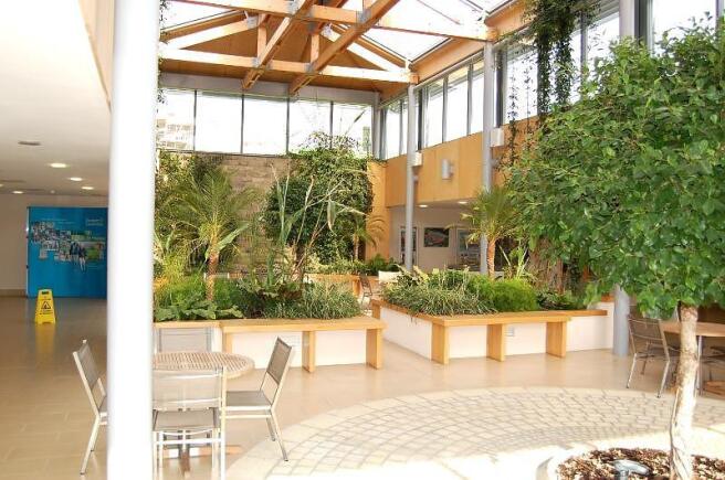 Winter Garden 