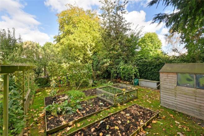 Vegetable Garden