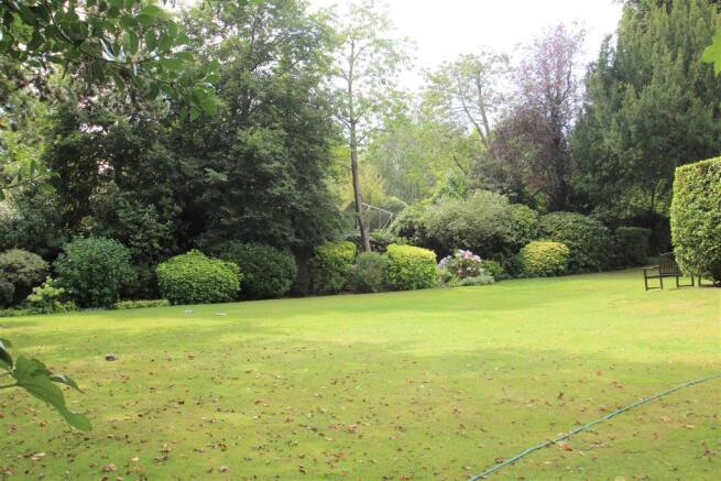 Garden 2.jpg