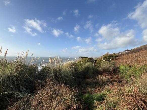 IMG 2494 New T202601121022.jpg