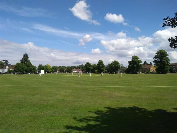 giggs cricket.jpg
