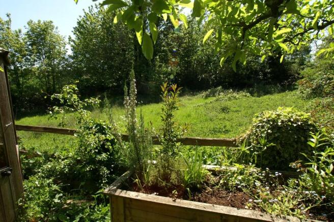 Meadow Behind