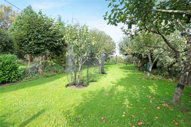 Orchard
