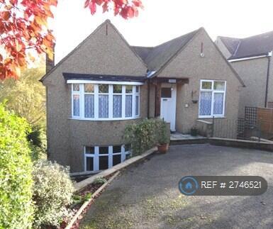 Street View With Drive