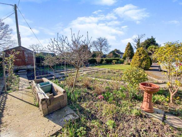 garden