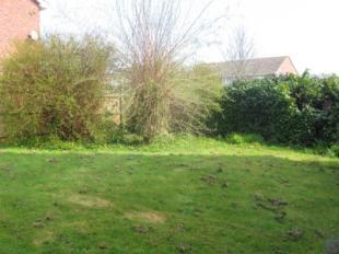 Side Garden