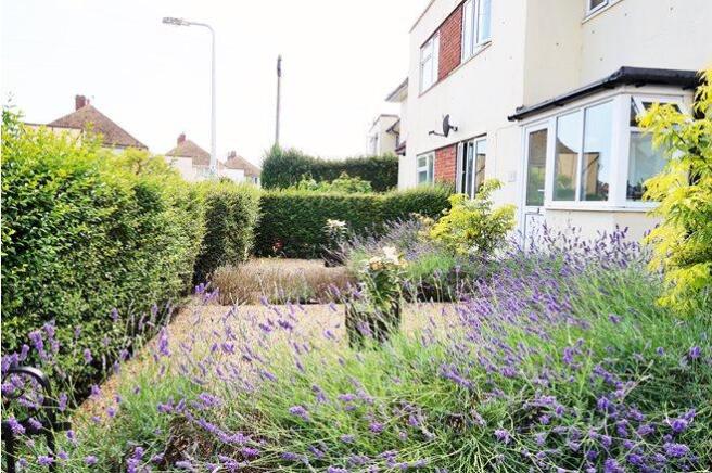 Front Garden