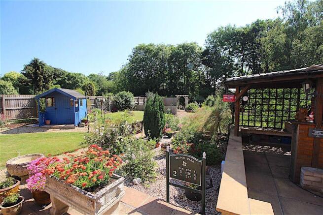 Garden at Back